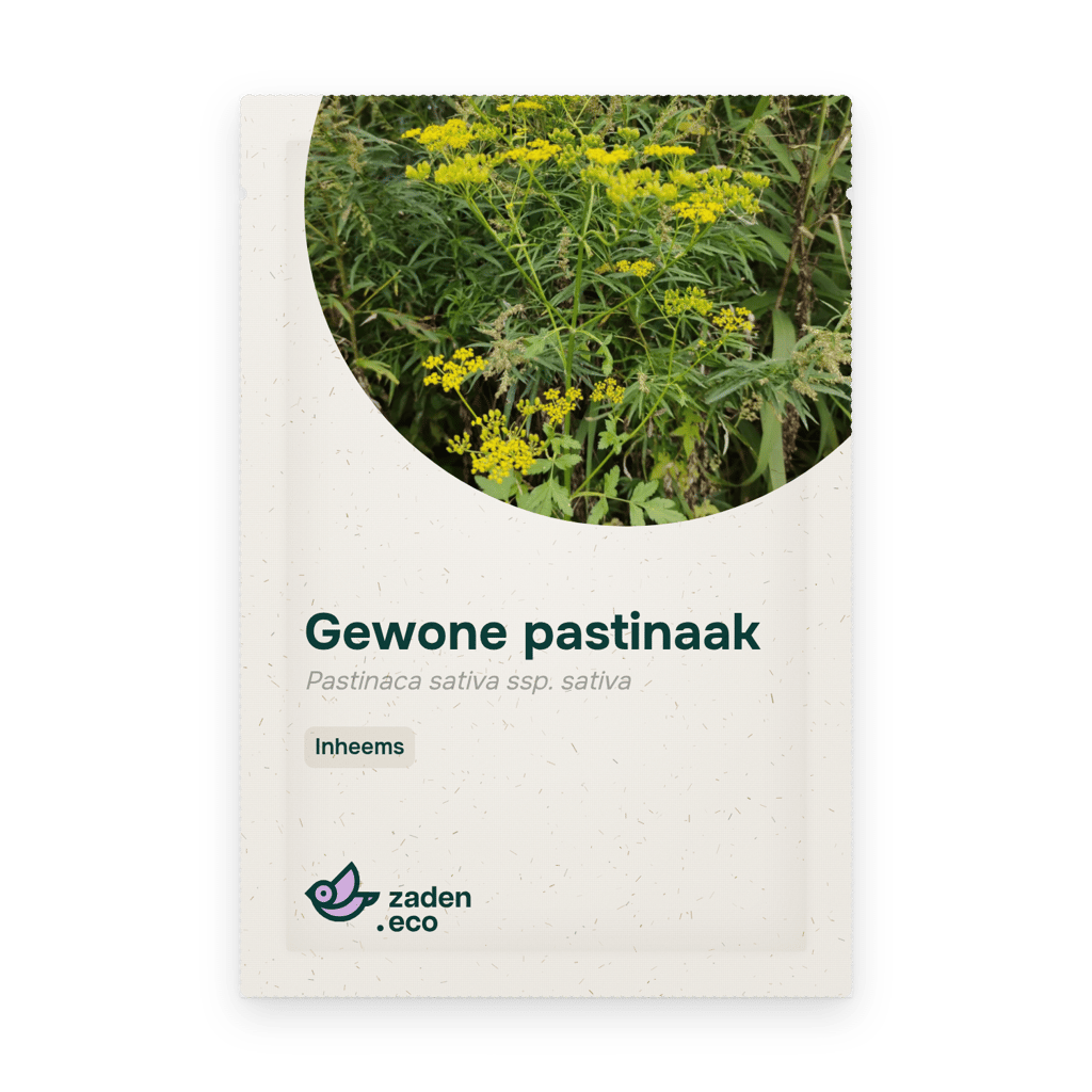 Zakje Gewone pastinaak