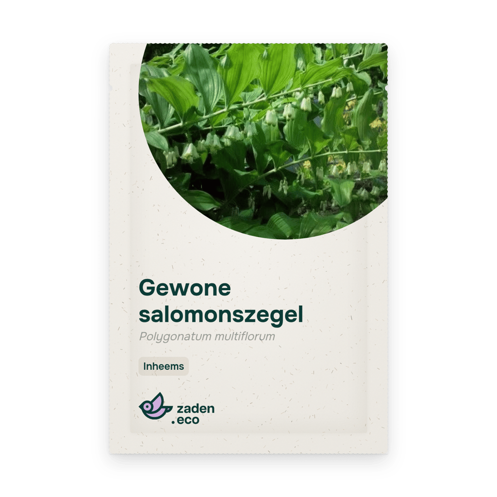 Zakje Gewone salomonszegel