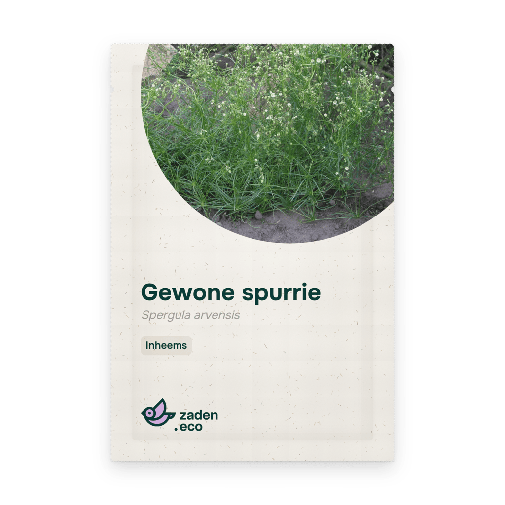 Zakje Gewone spurrie