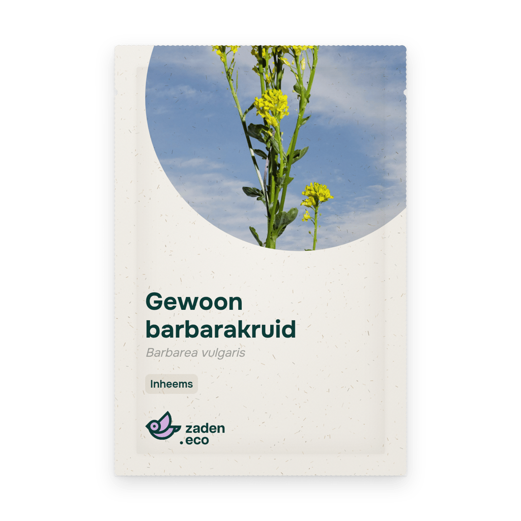 Zakje Gewoon barbarakruid