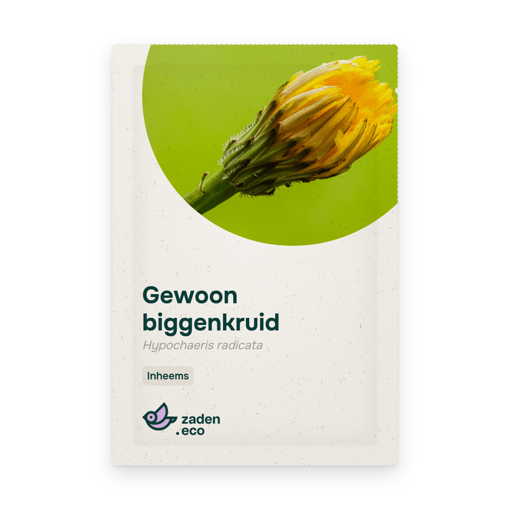 Zakje Gewoon biggenkruid