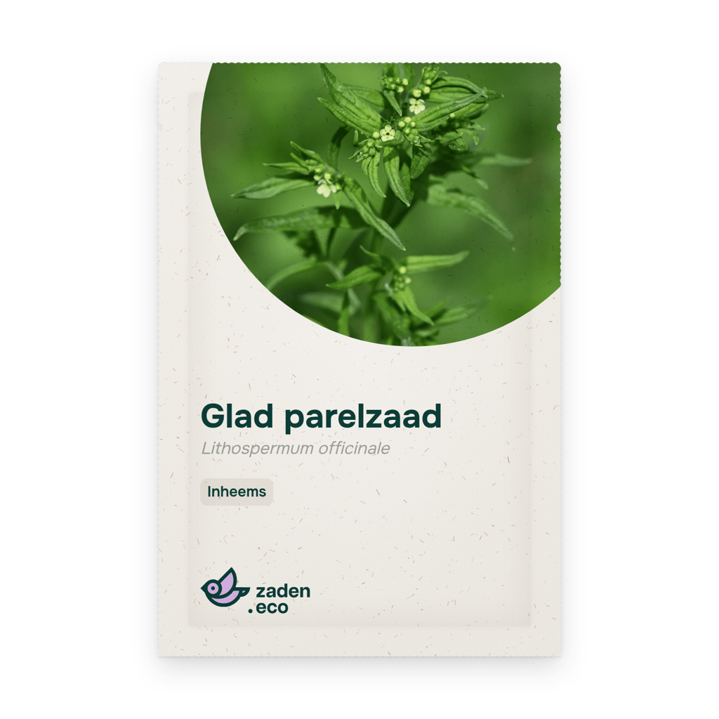 Zakje Glad parelzaad