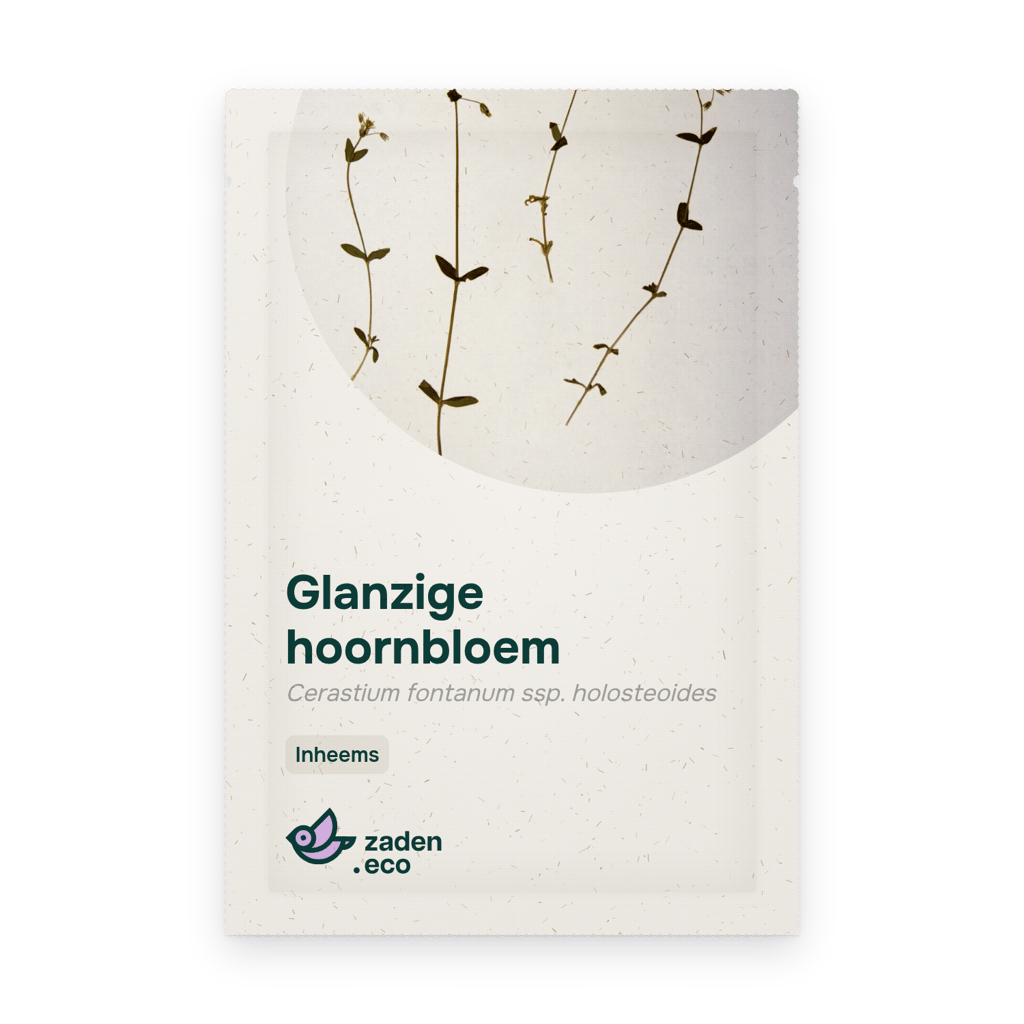 Zakje Glanzige hoornbloem