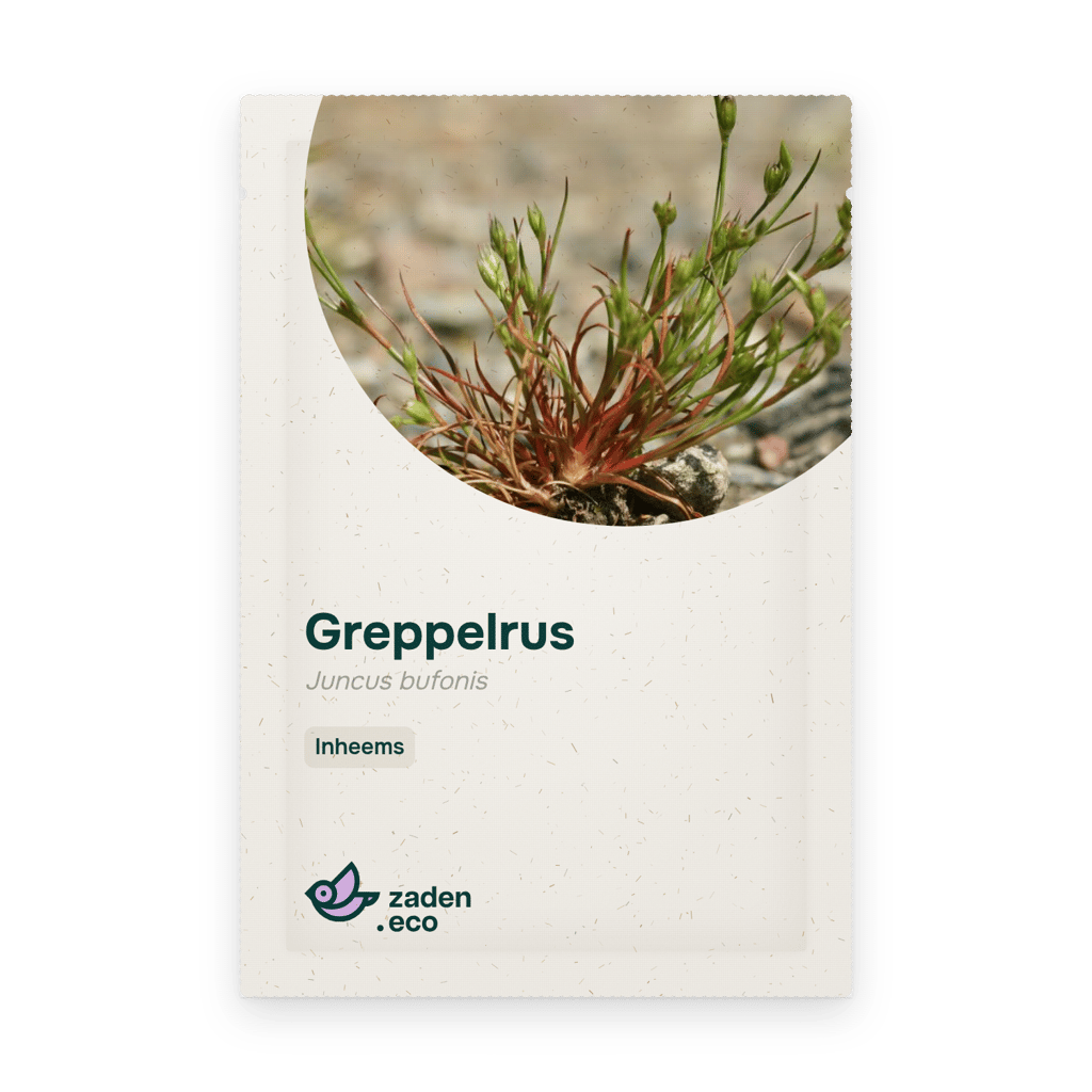 Zakje Greppelrus