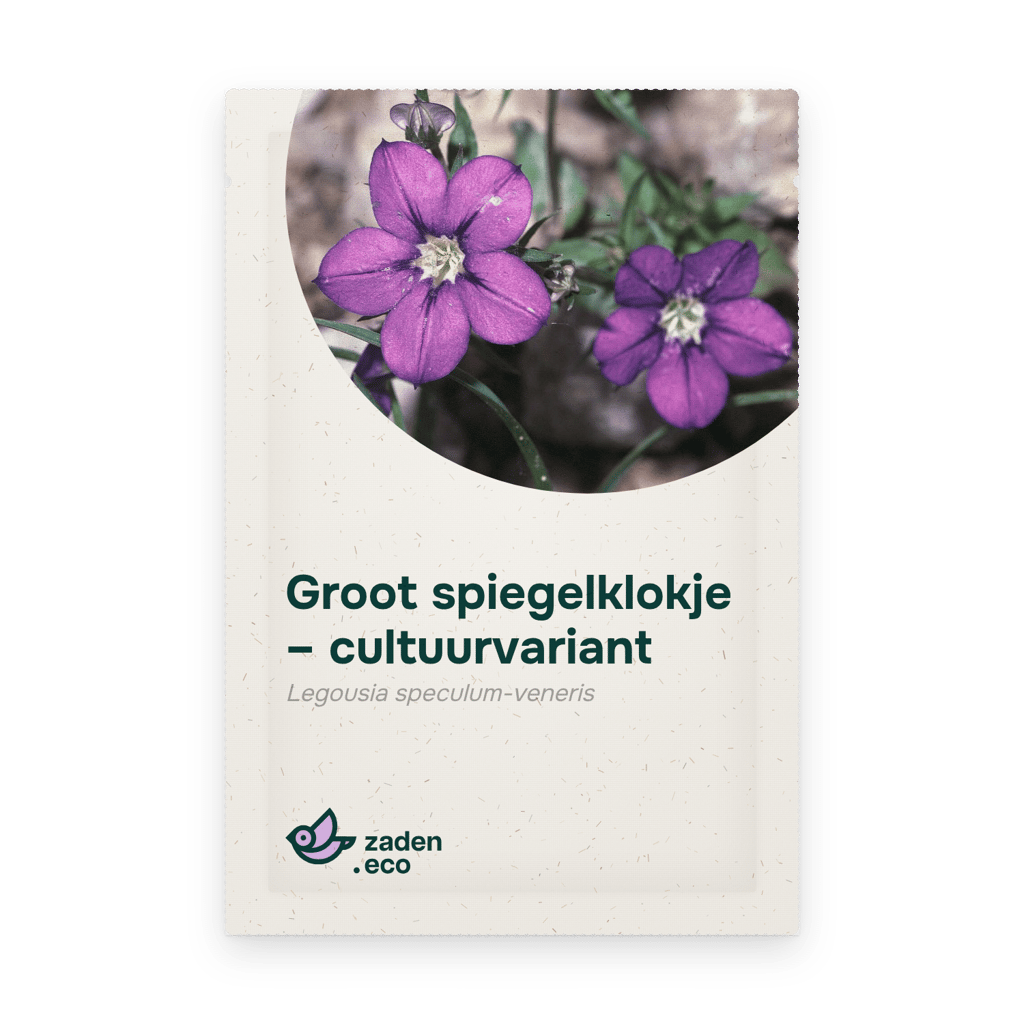 Zakje Groot spiegelklokje – cultuurvariant