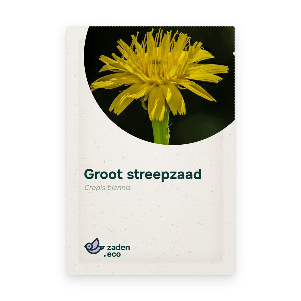 Zakje Groot streepzaad