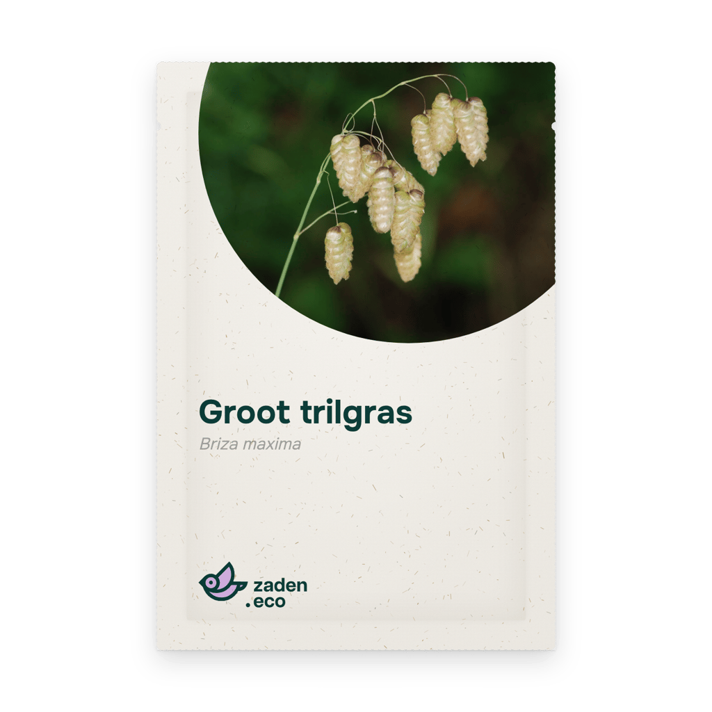 Zakje Groot trilgras