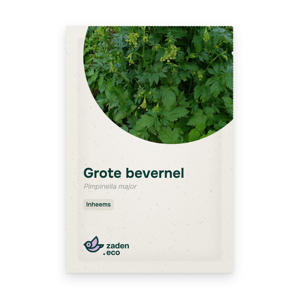 Zakje Grote bevernel