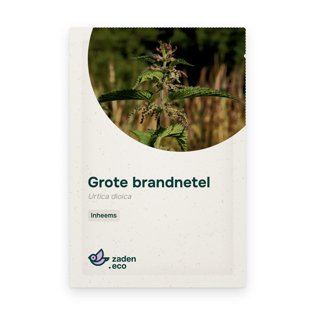 Zakje Grote brandnetel