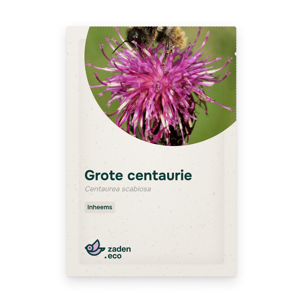 Zakje Grote centaurie