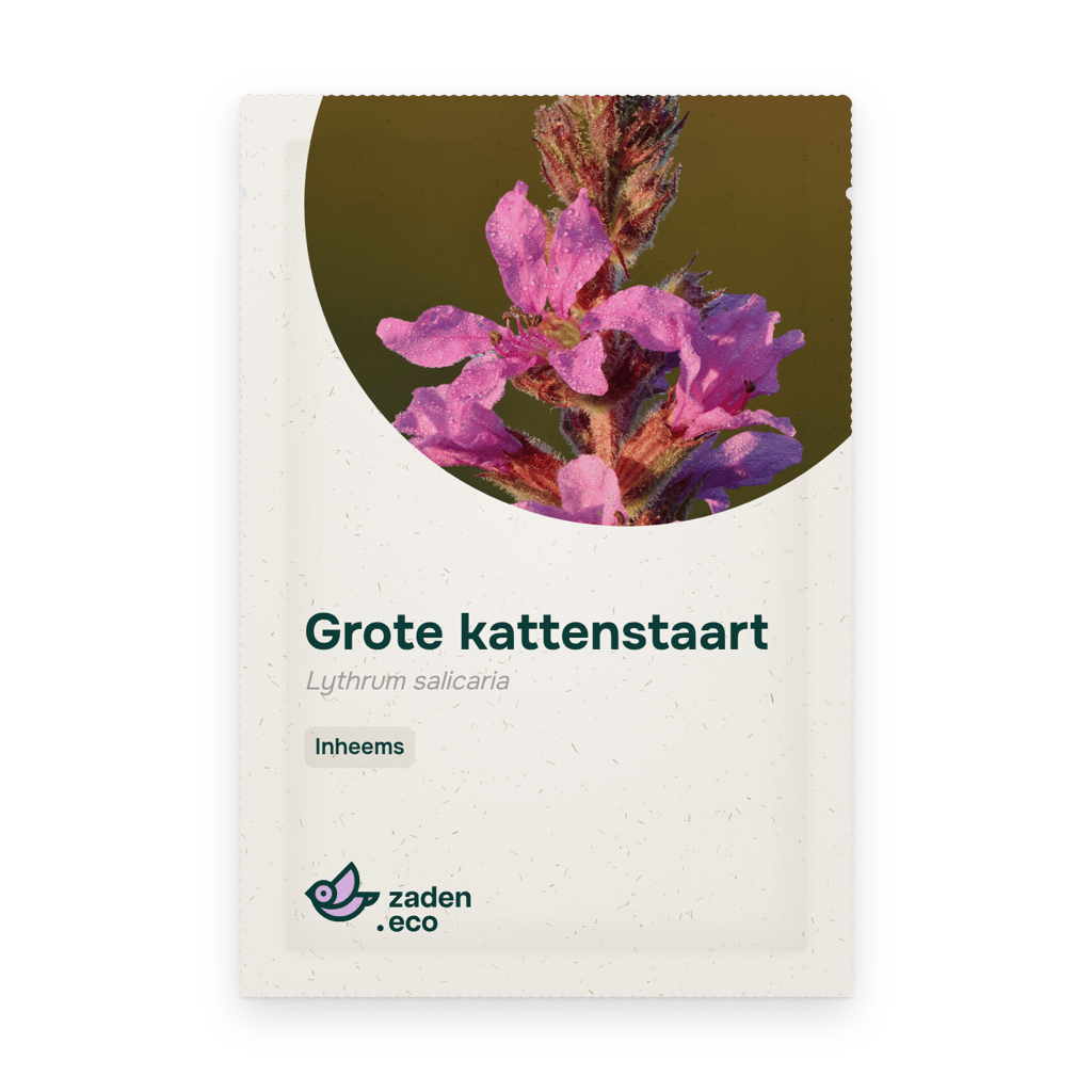 Zakje Grote kattenstaart