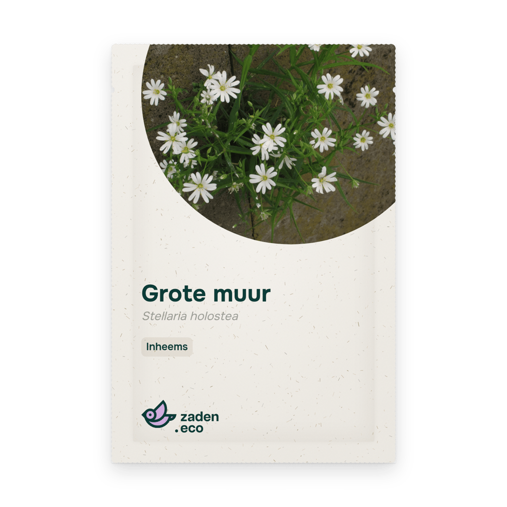 Zakje Grote muur