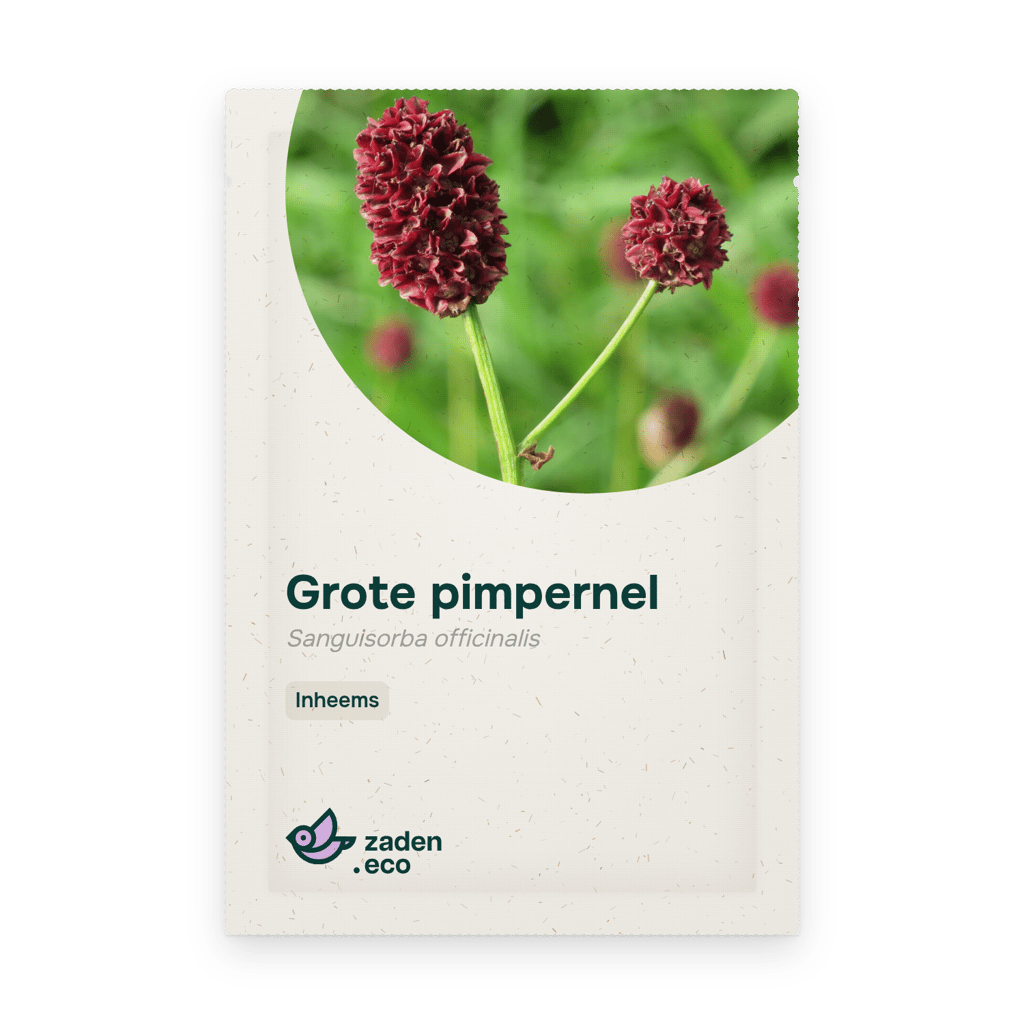 Zakje Grote pimpernel