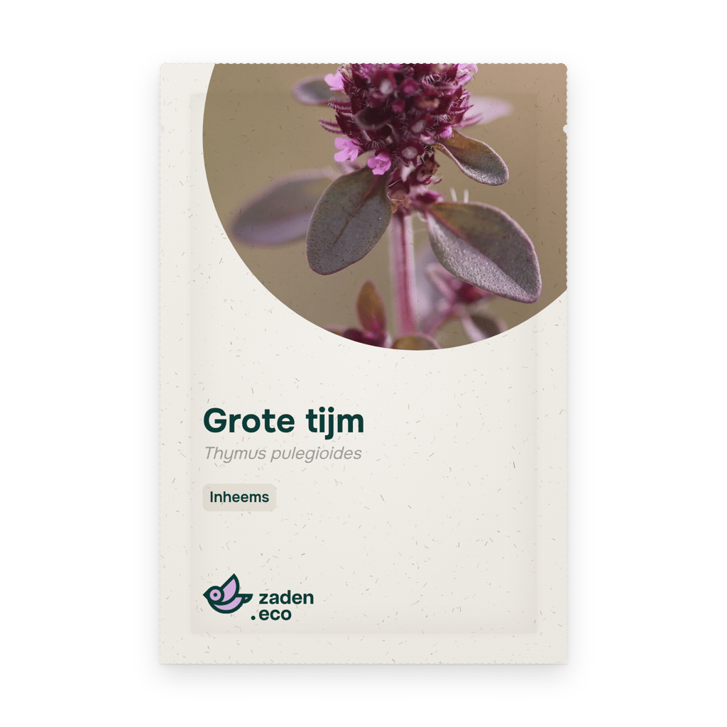 Zakje Grote tijm