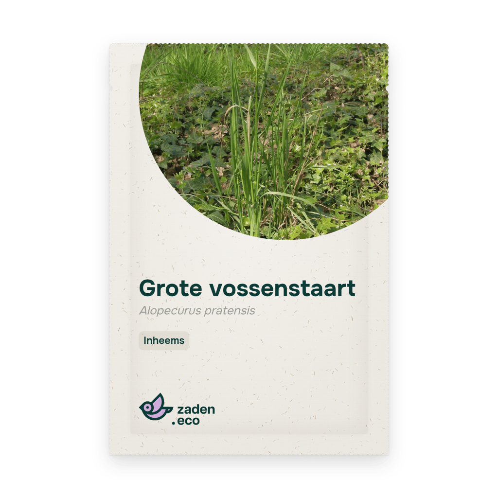Zakje Grote vossenstaart