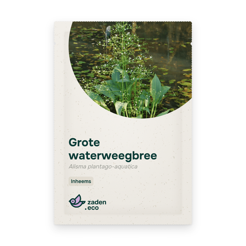 Zakje Grote waterweegbree