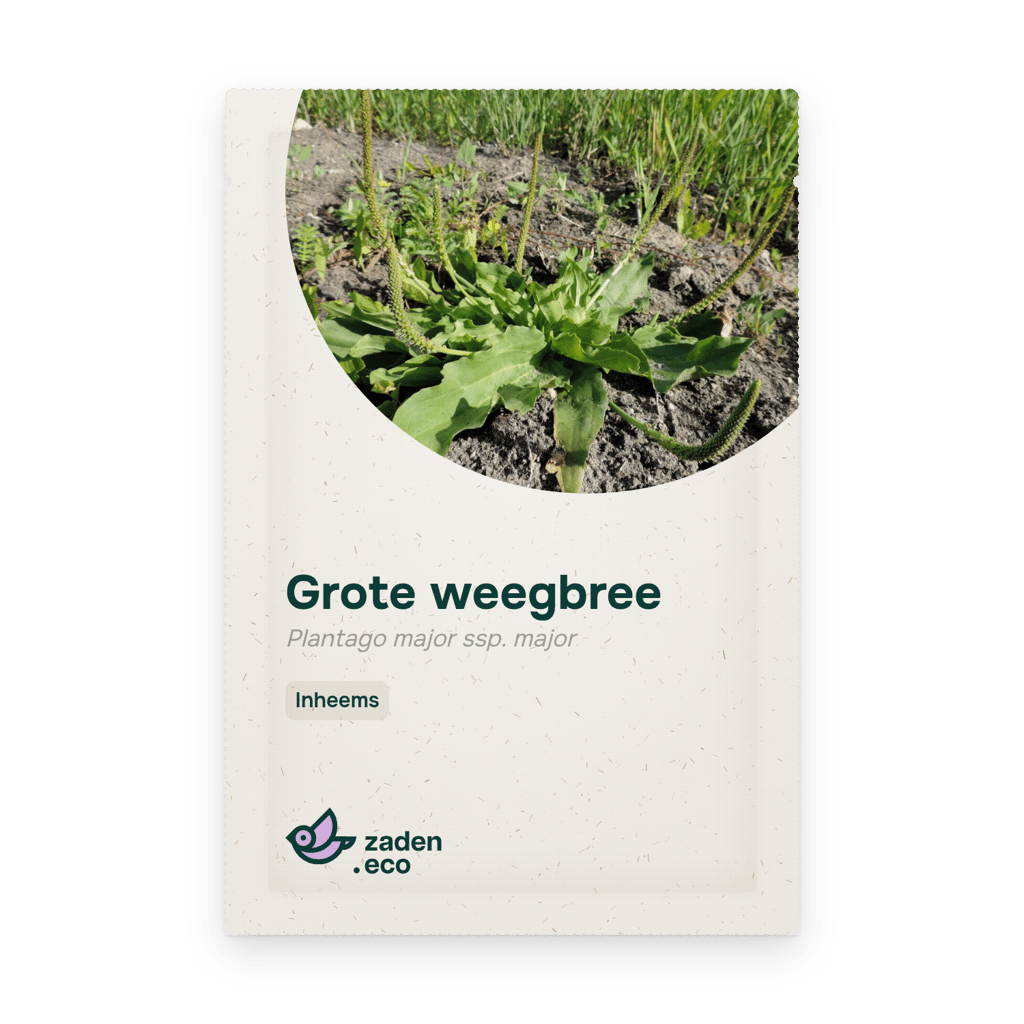 Zakje Grote weegbree