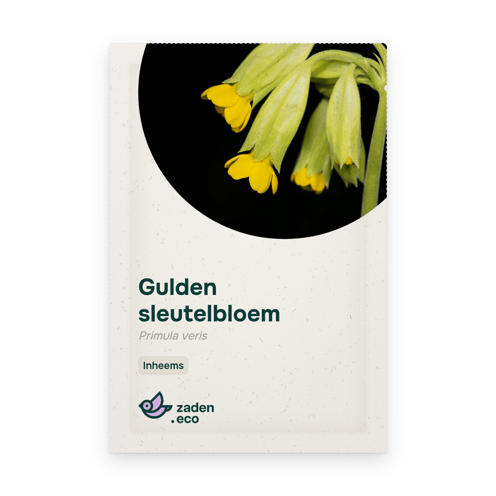 Zakje Gulden sleutelbloem