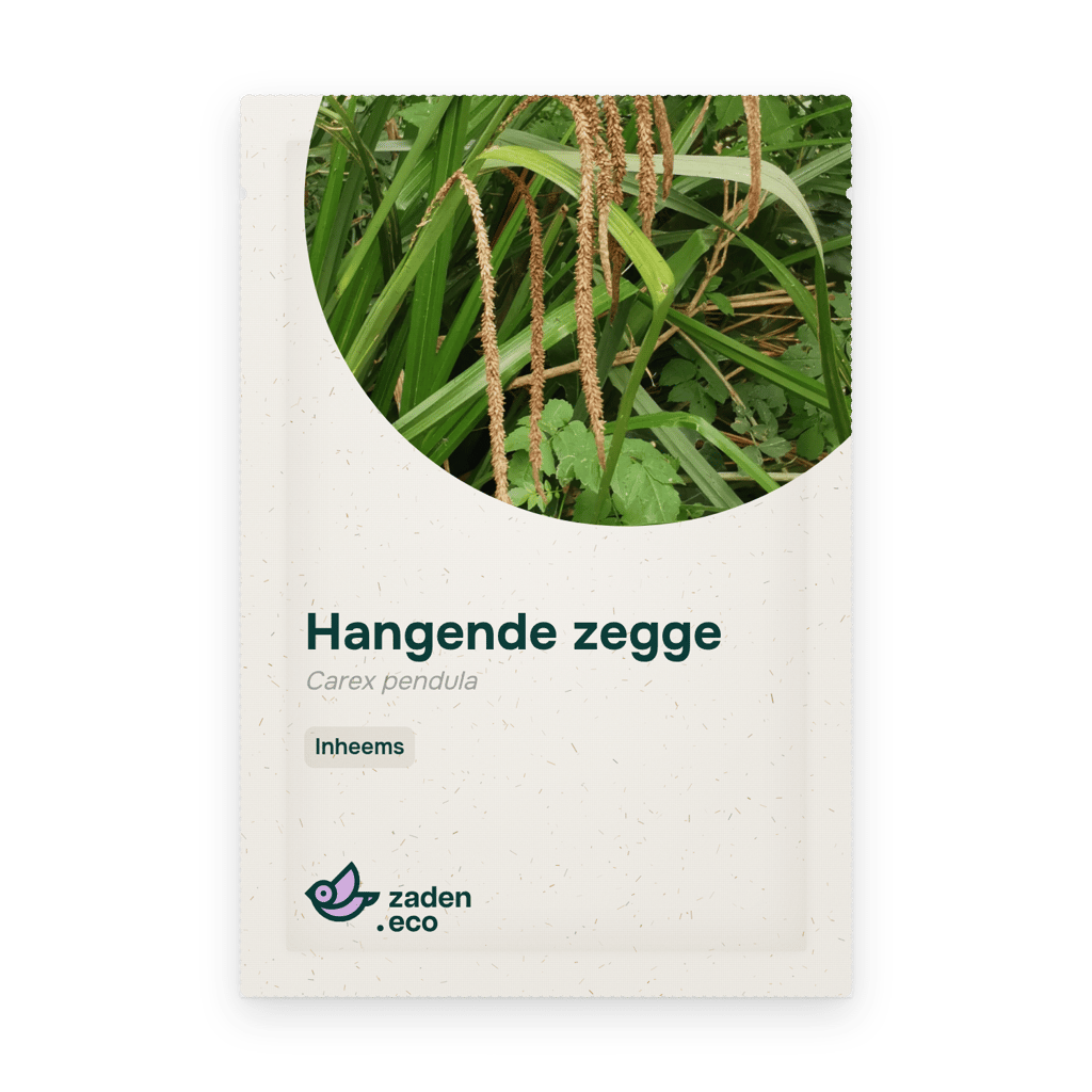 Zakje Hangende zegge