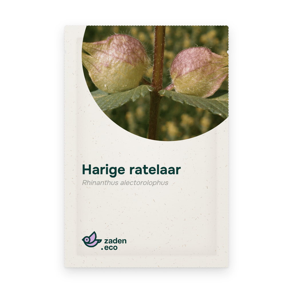 Zakje Harige ratelaar