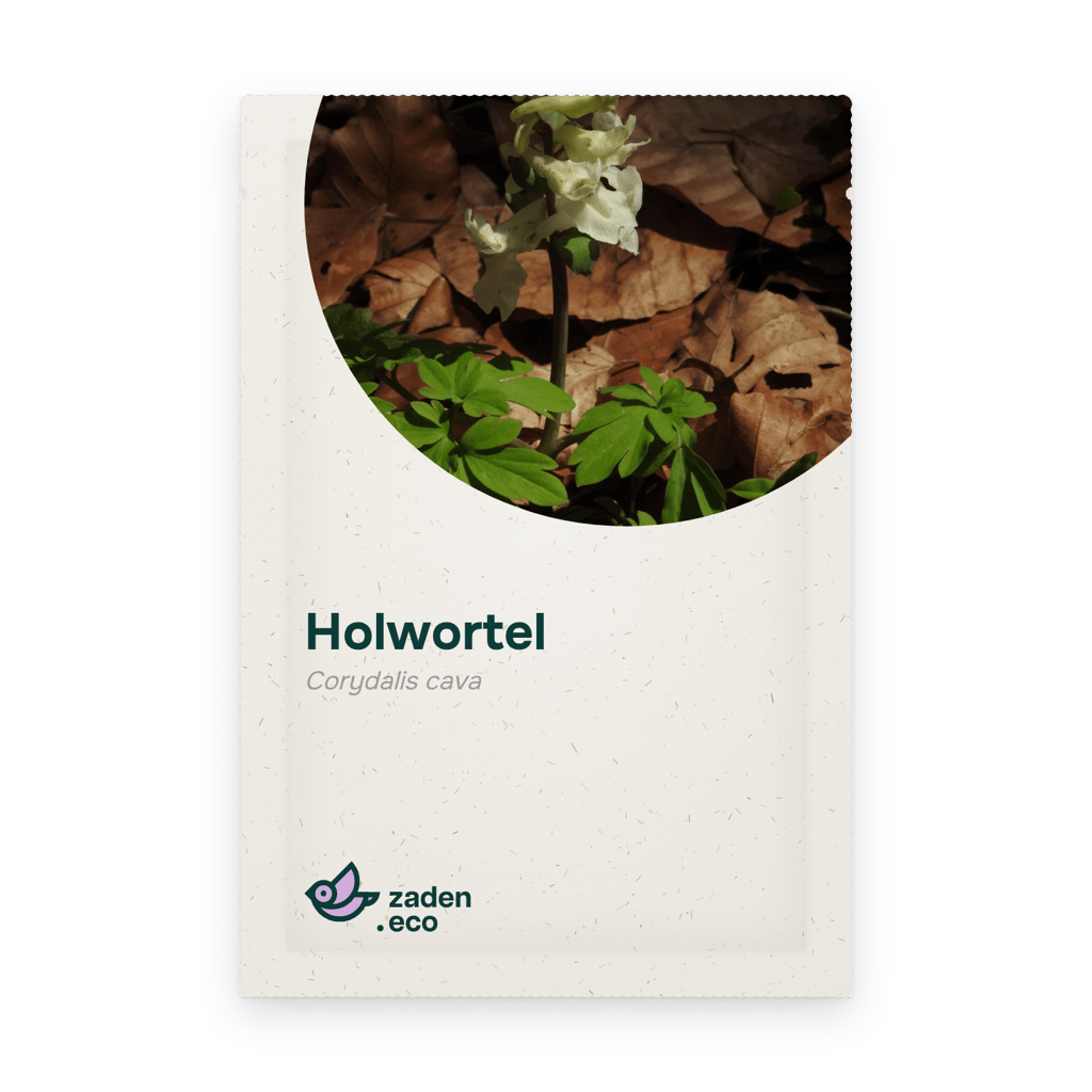 Zakje Holwortel