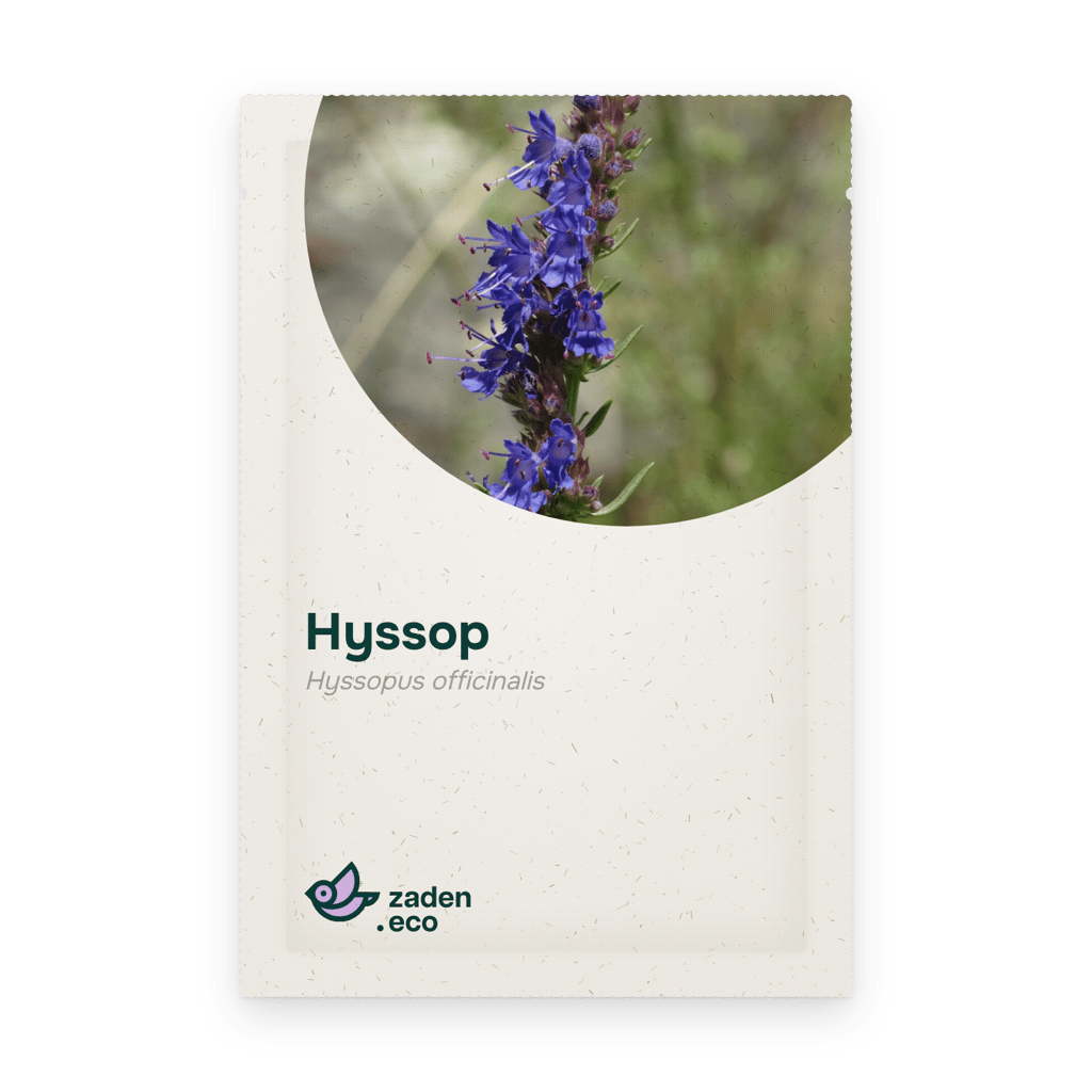 Zakje Hyssop