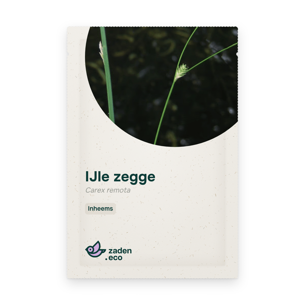 Zakje IJle zegge
