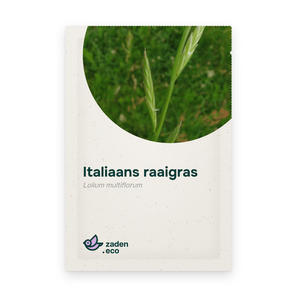 Zakje Italiaans raaigras