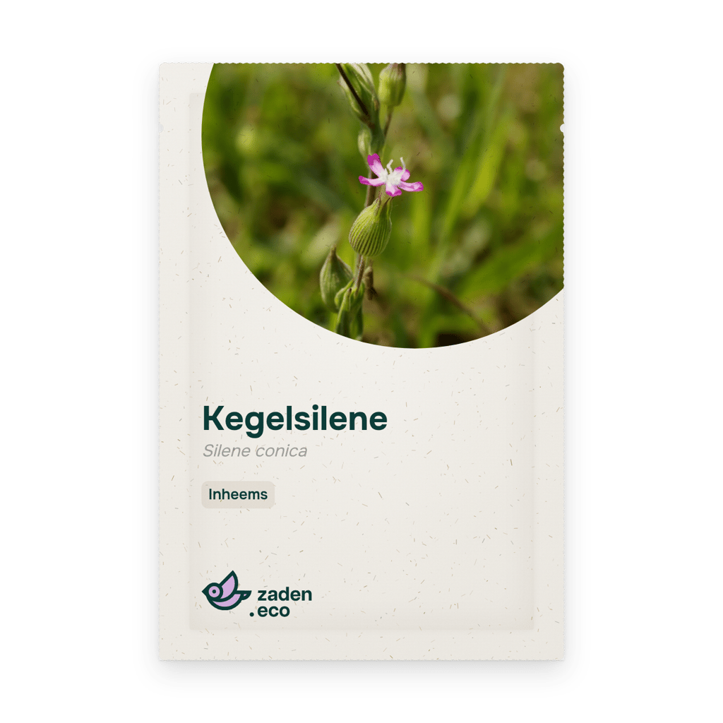 Zakje Kegelsilene