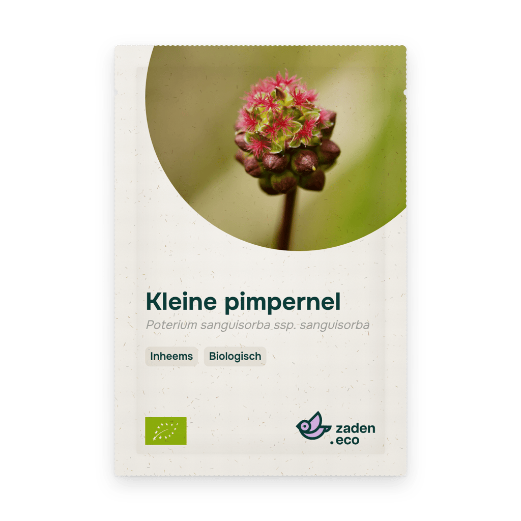 Zakje Kleine pimpernel BIO