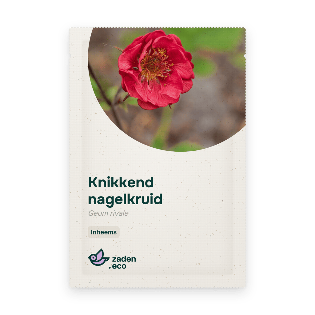 Zakje Knikkend nagelkruid