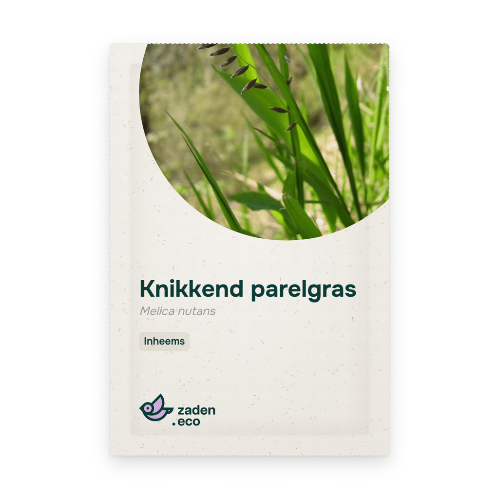 Zakje Knikkend parelgras