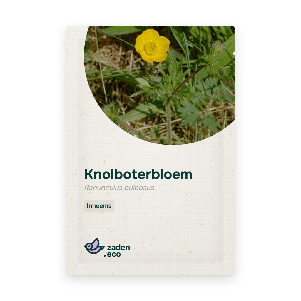 Zakje Knolboterbloem