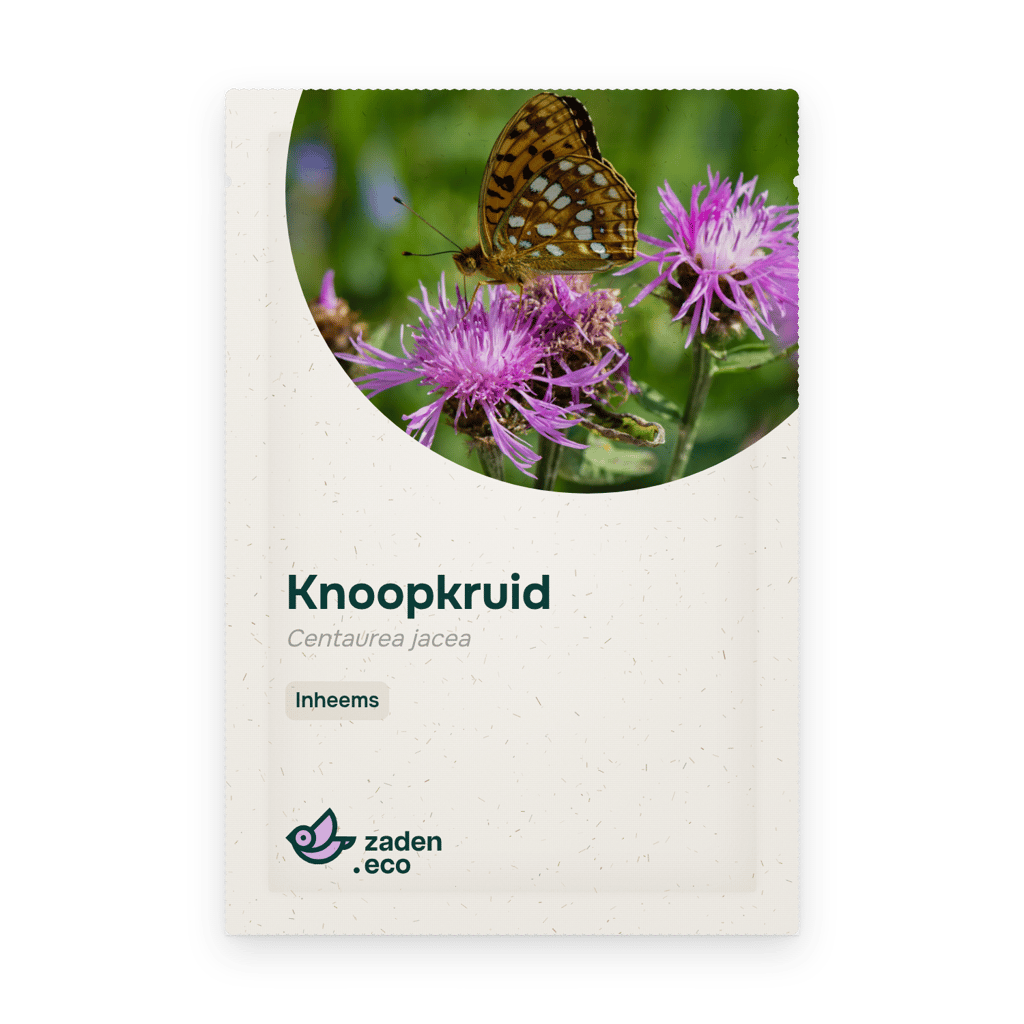Zakje Knoopkruid