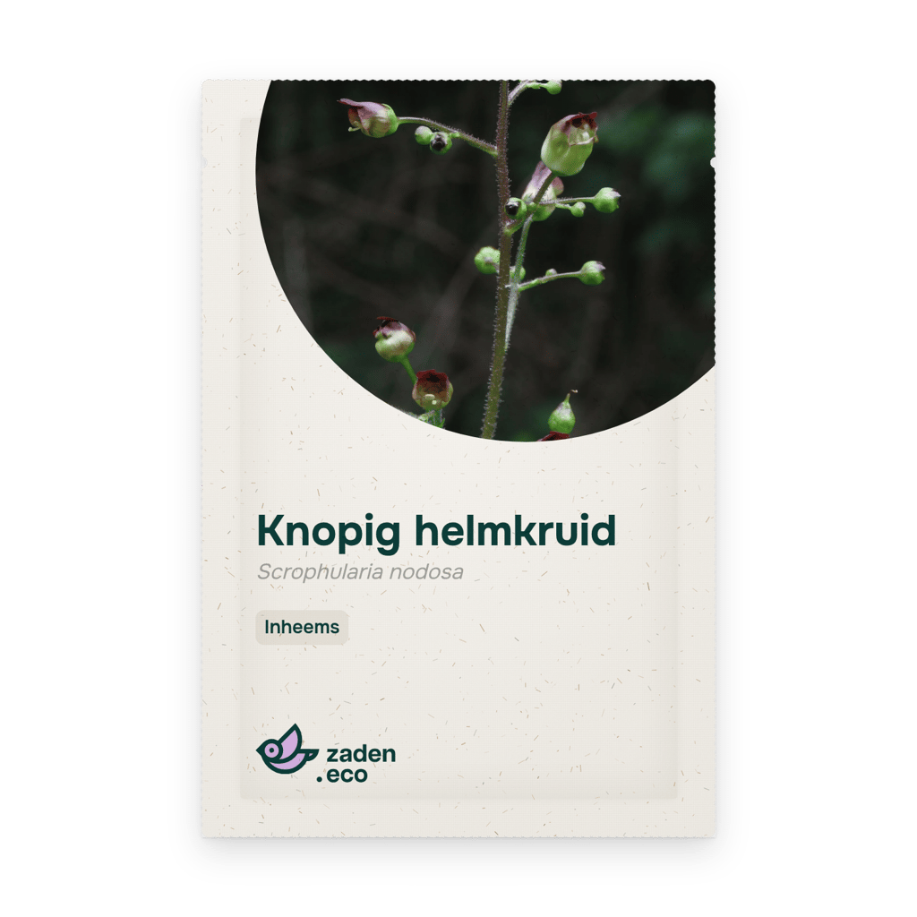 Zakje Knopig helmkruid
