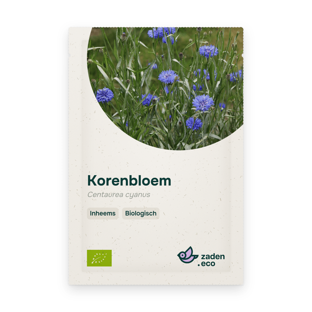 Zakje Korenbloem BIO