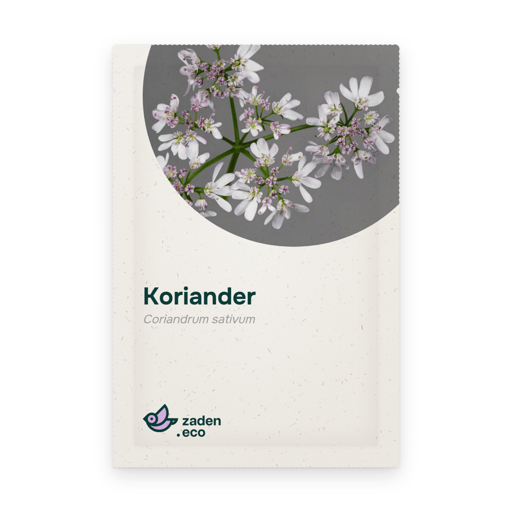 Zakje Koriander