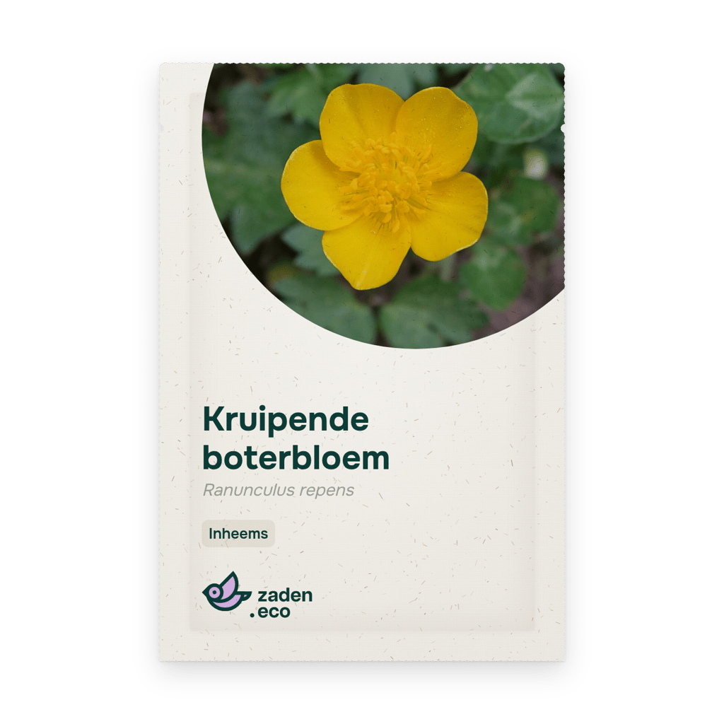 Zakje Kruipende boterbloem