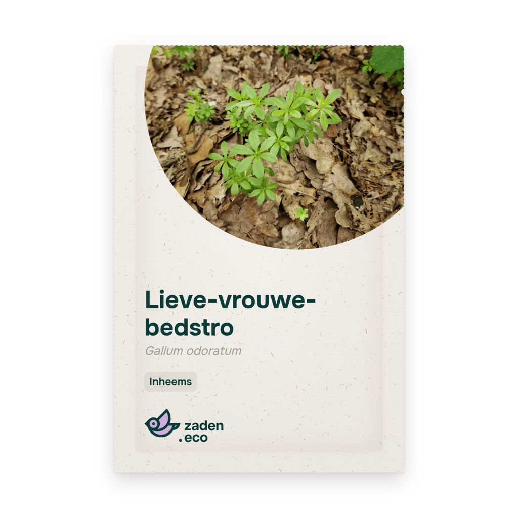 Zakje Lieve-vrouwe-bedstro