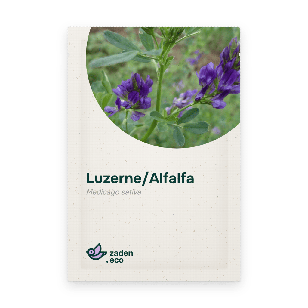 Zakje Luzerne/Alfalfa