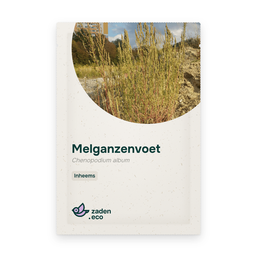 Zakje Melganzenvoet