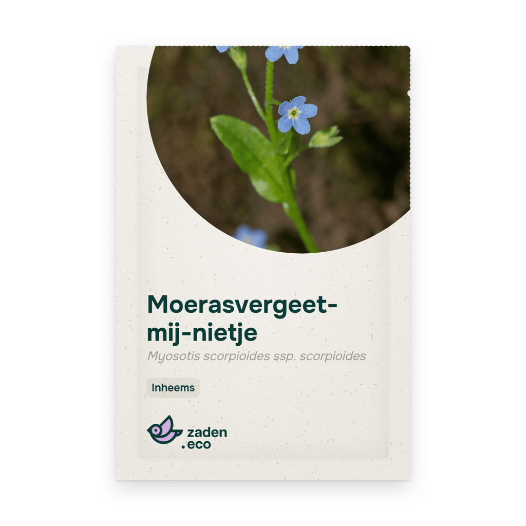 Zakje Moerasvergeet-mij-nietje