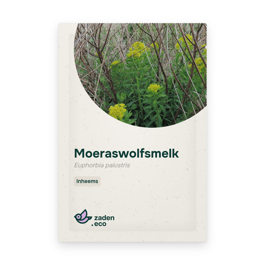 Zakje Moeraswolfsmelk