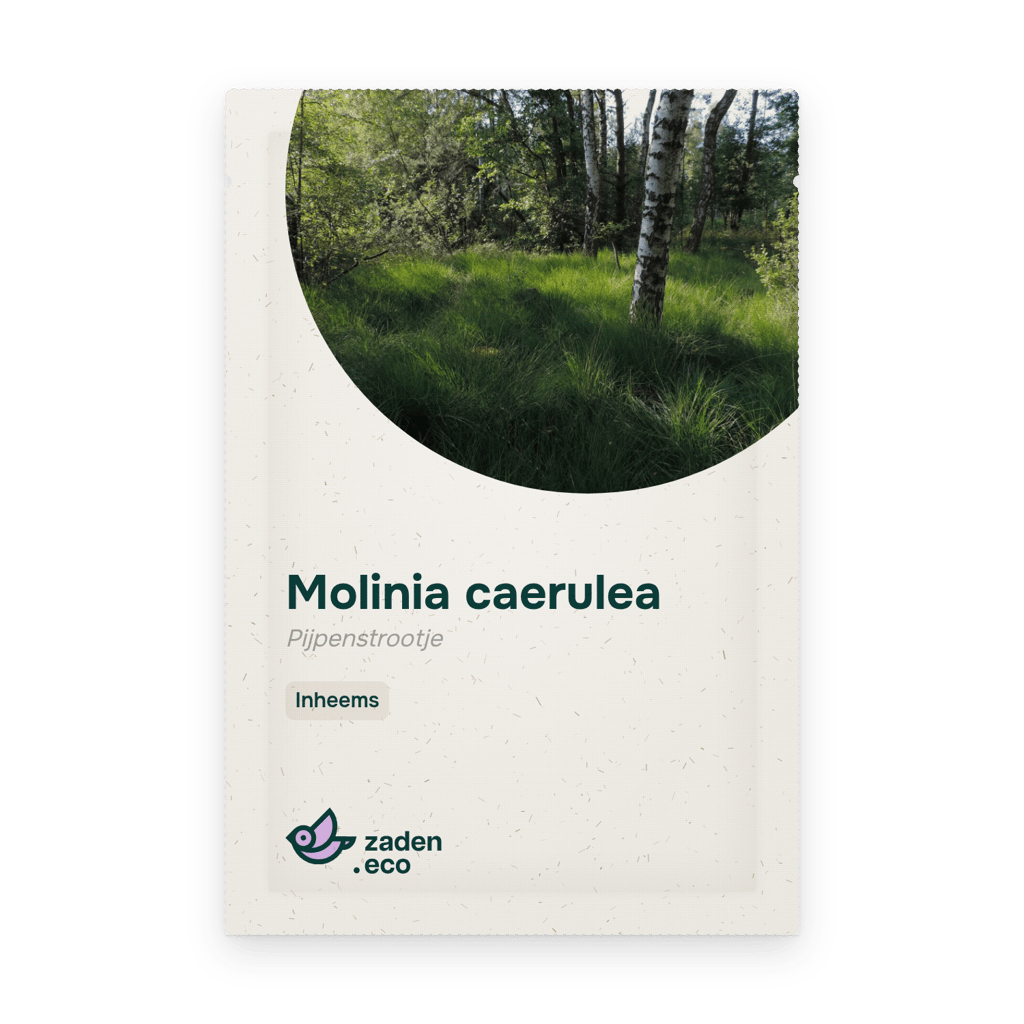 Zakje Molinia caerulea