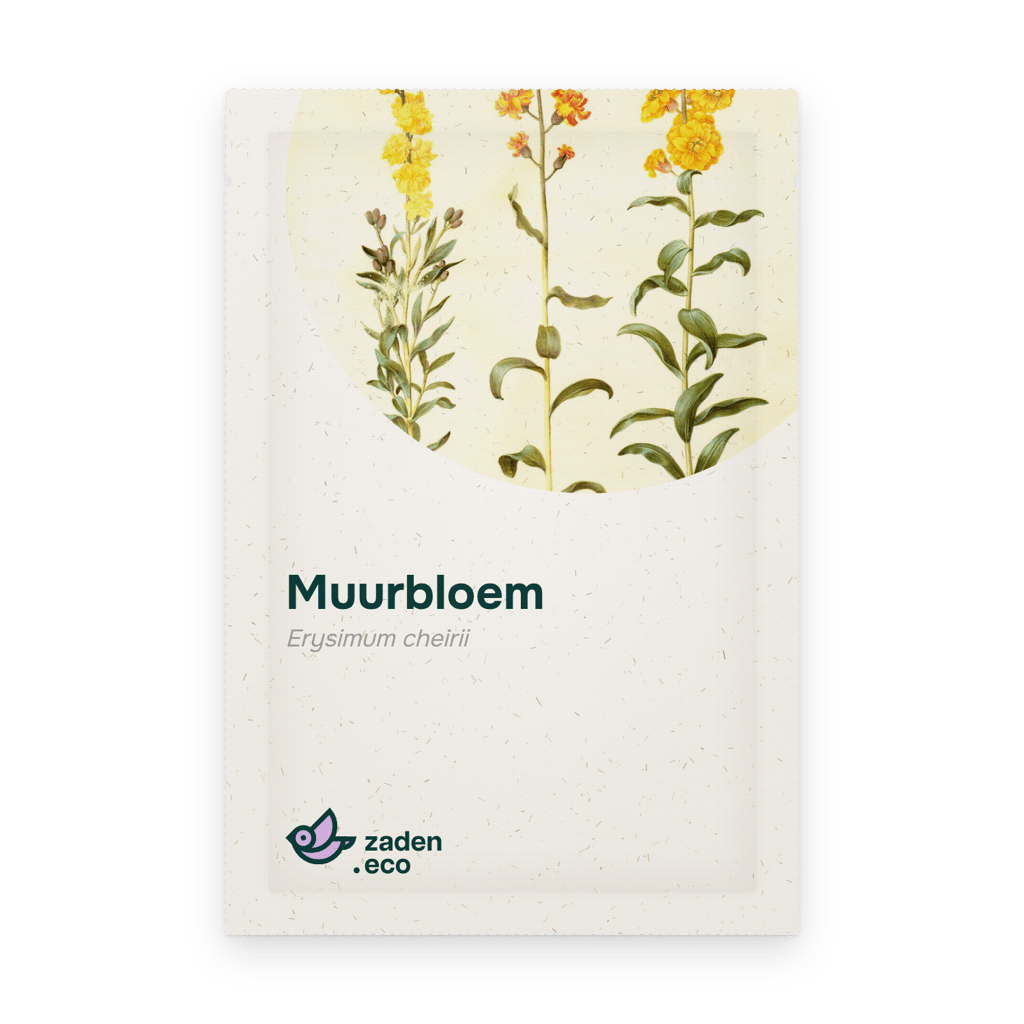 Zakje Muurbloem