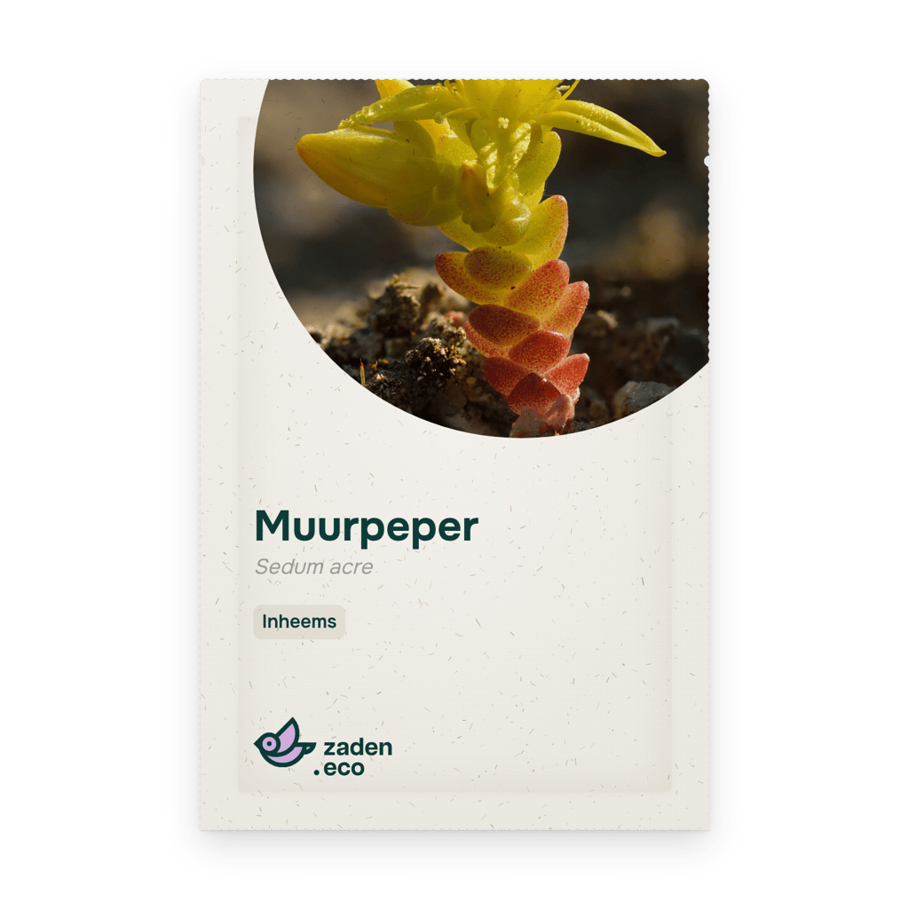 Zakje Muurpeper