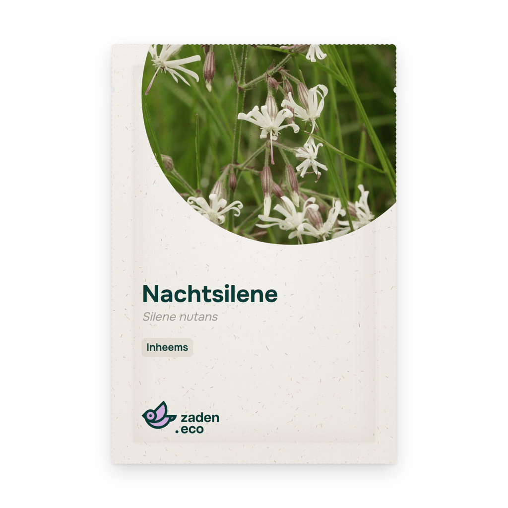 Zakje Nachtsilene
