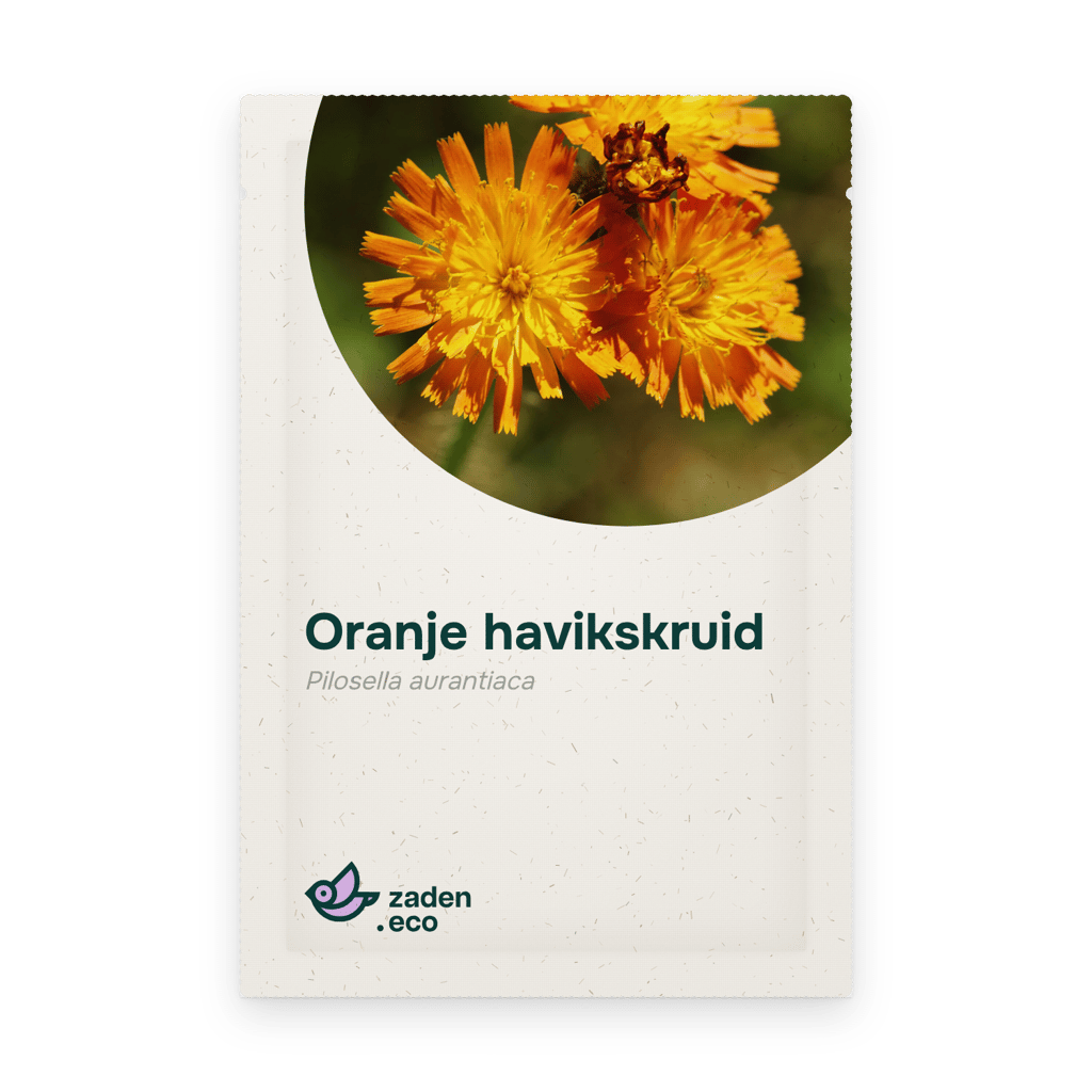 Zakje Oranje havikskruid