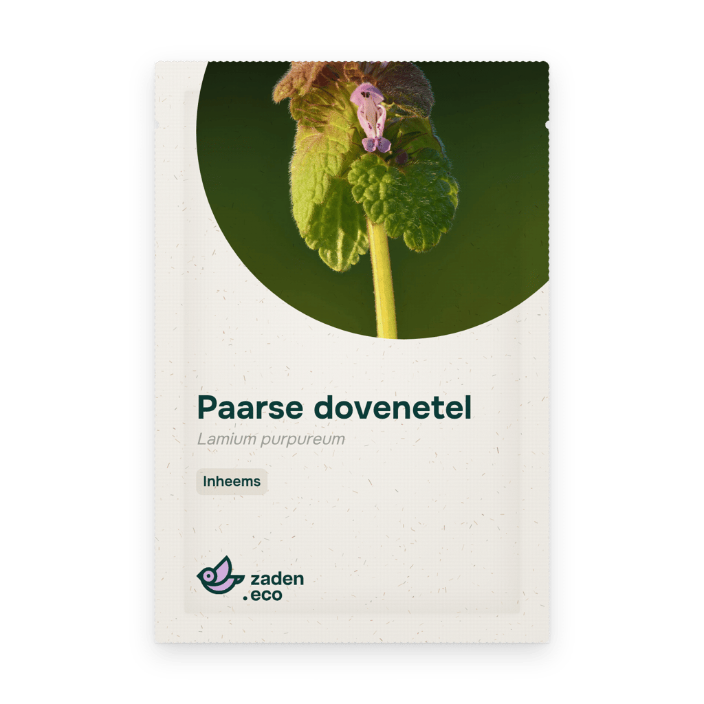 Zakje Paarse dovenetel