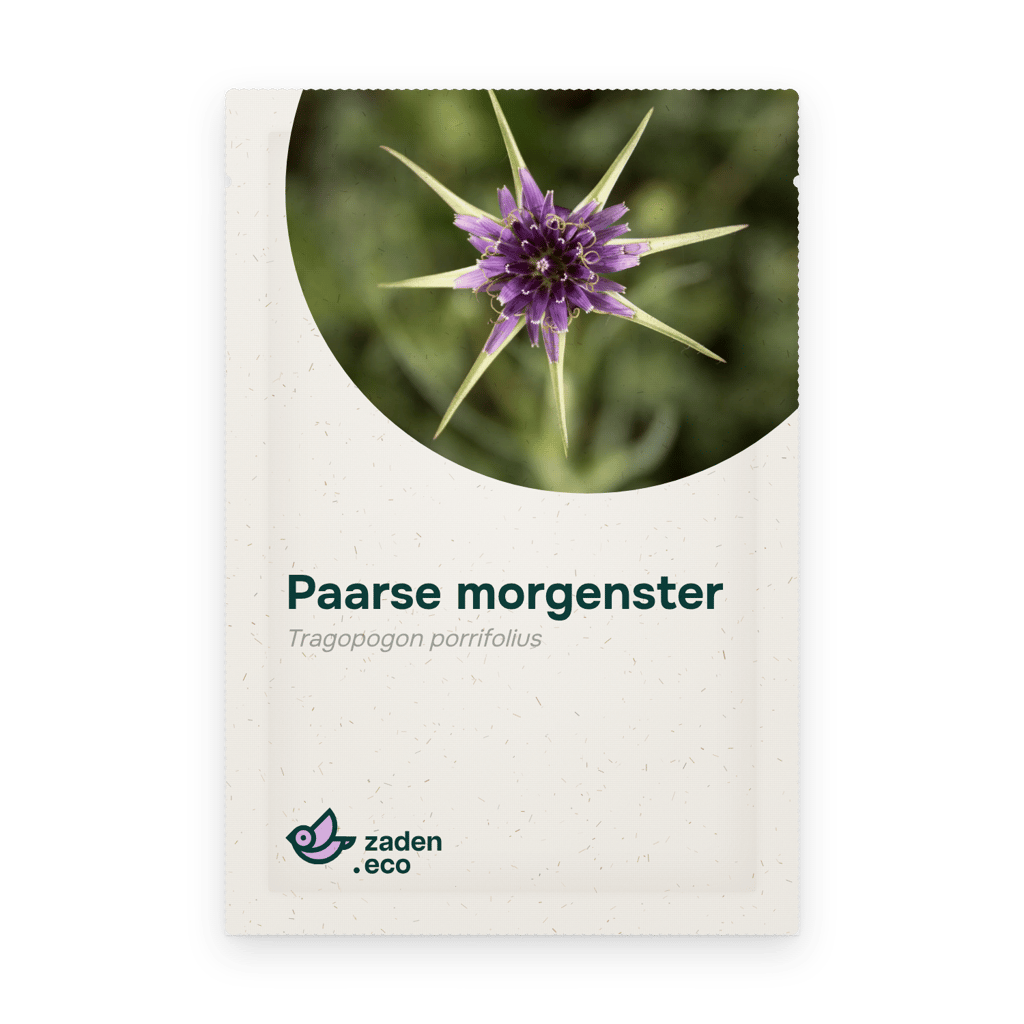 Zakje Paarse morgenster